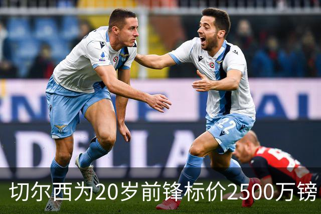 切尔西为20岁前锋标价2500万镑，引进时仅花600万